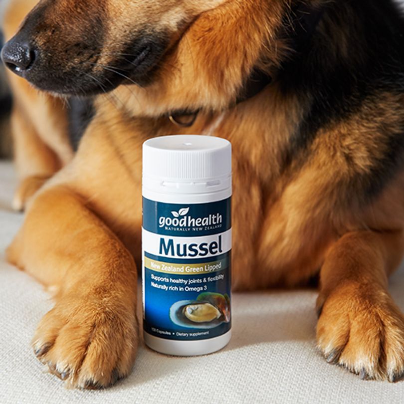 Buy with Confidence - Good Health Products are Compliant :